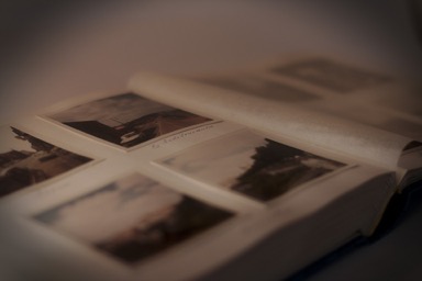 Galeri Foto - Wordpress - Dewaweb
